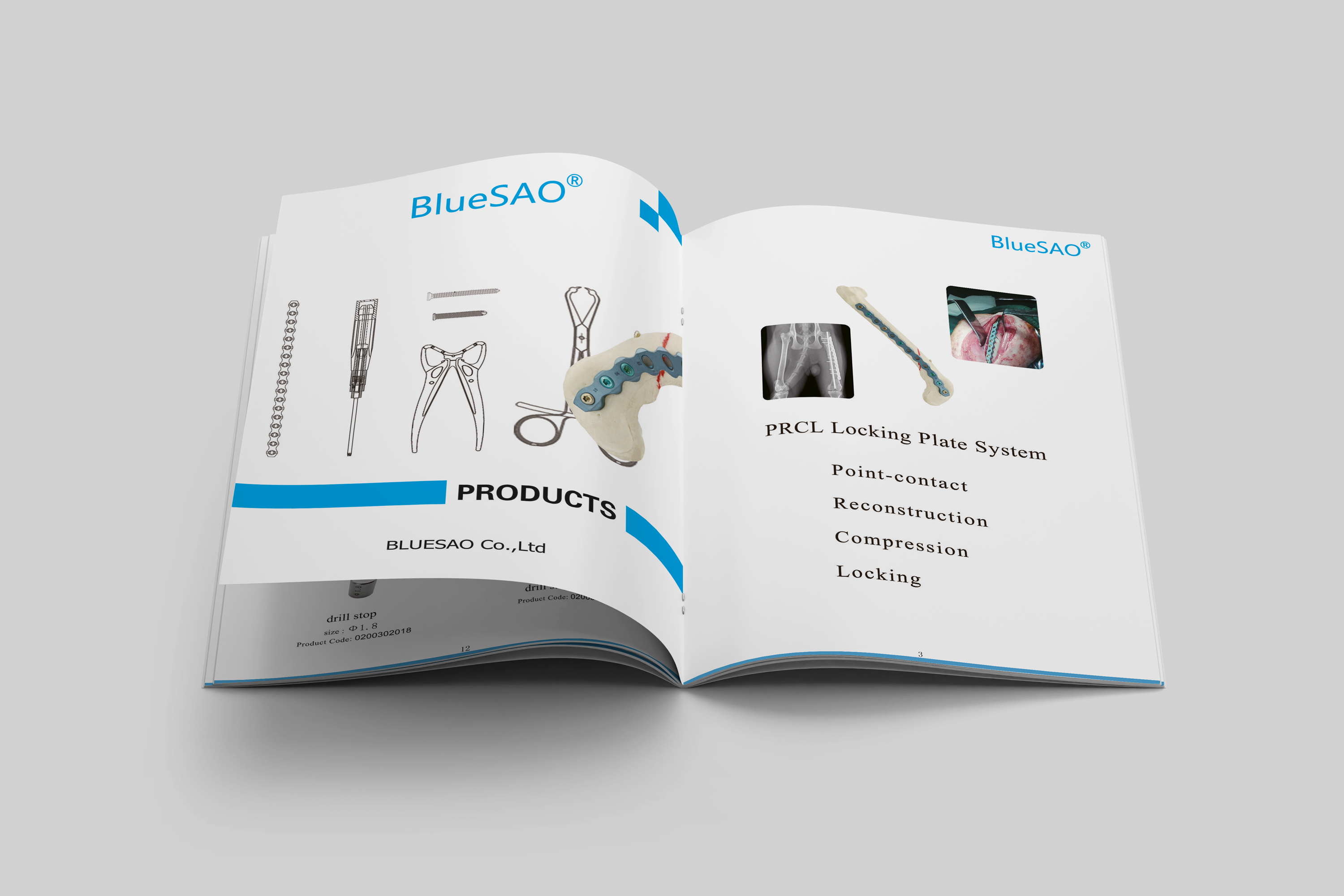 BlueSAO Ürün Kataloğu